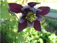 ea0ef5d1-Picture 020.jpg